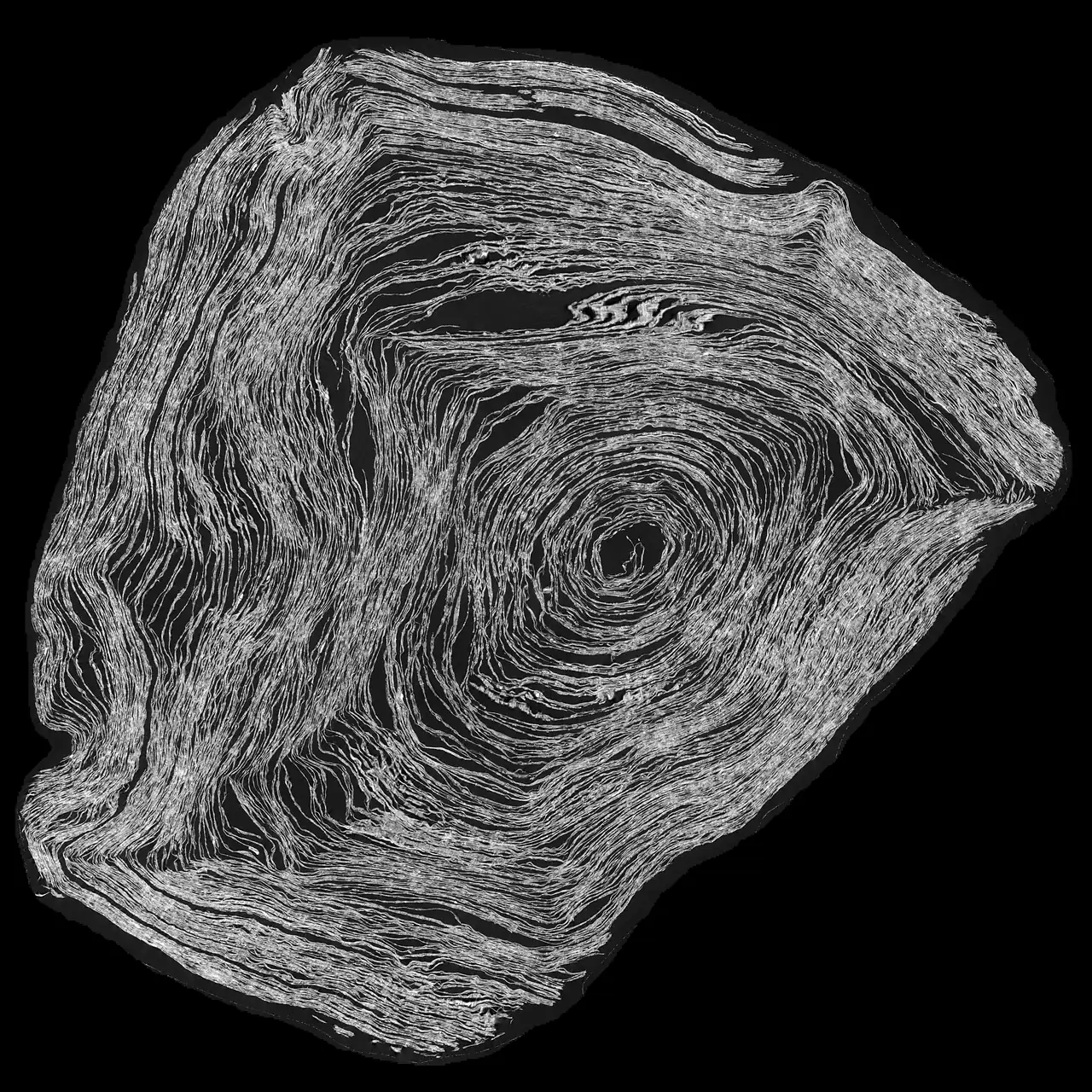 CT cross-section of a rolled scroll: a spiral of carbonized papyrus
