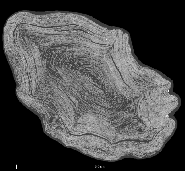 Micro-CT cross-section of a carbonized Herculaneum scroll