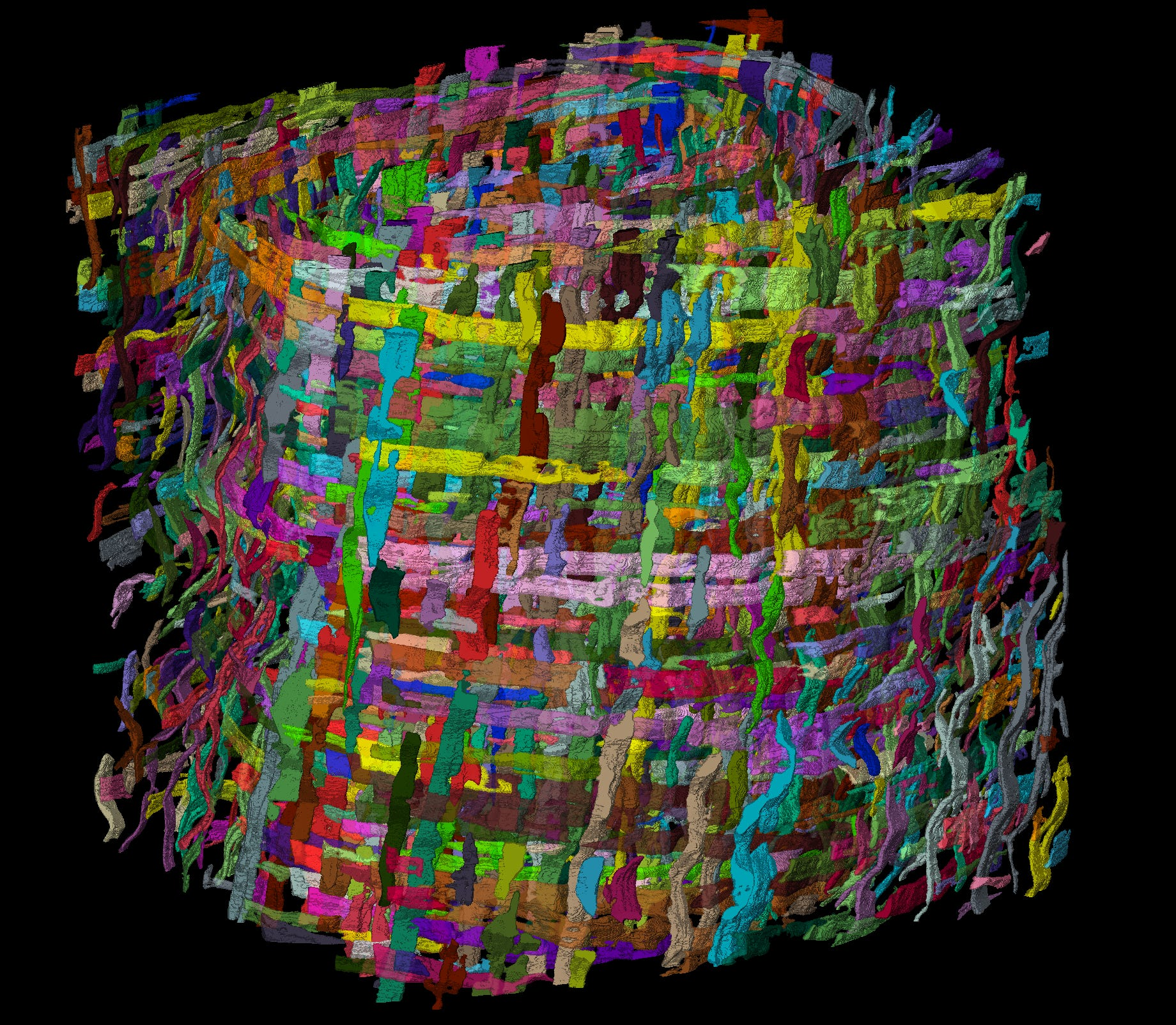 3D rendering of individually segmented papyrus fibers