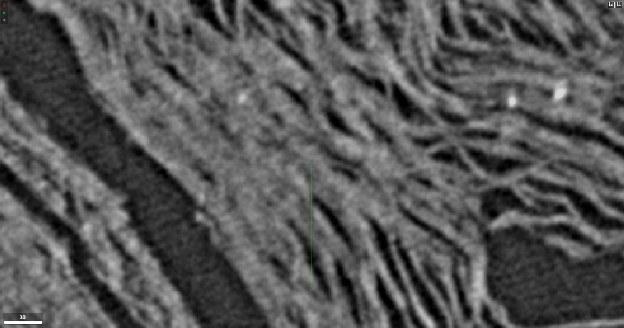 Compressed region of PHerc. Paris 4 scanned at DLS, 7.91 µm