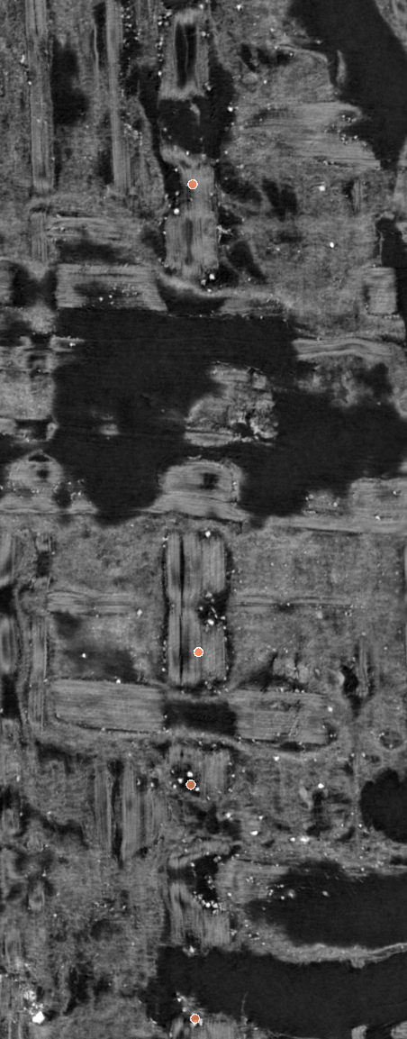 Four sparse points following a vertical papyrus fiber