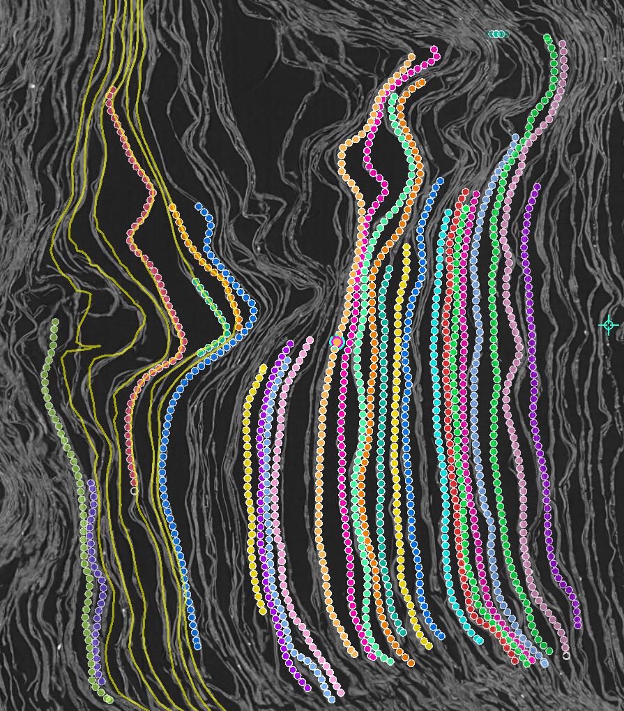 Many colored same-winding point collections following papyrus sheets