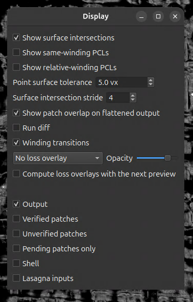 Display dialog with controls for point collections, patch overlap, winding transitions, loss overlays, and input visibility.