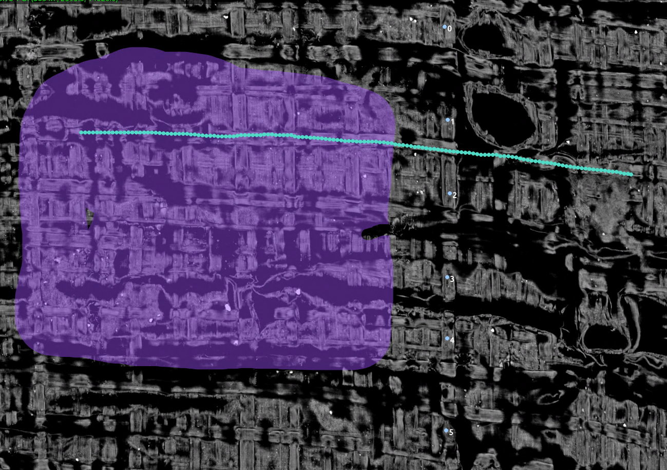 Flattened spiral surface with a purple painted patch and cyan point annotations.